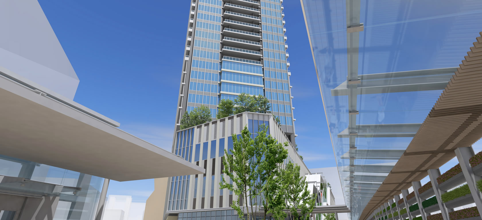 引用: Yokohama Front Mutsumi Nursery